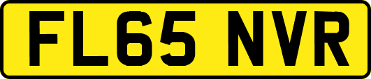 FL65NVR