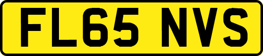 FL65NVS