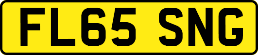 FL65SNG