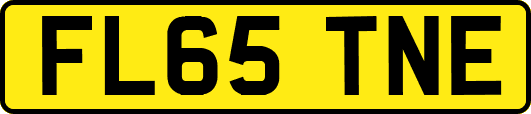 FL65TNE