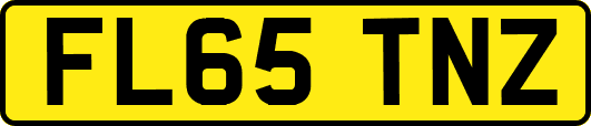 FL65TNZ