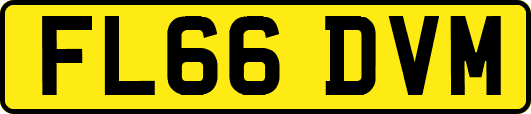 FL66DVM