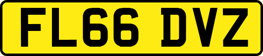 FL66DVZ