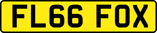 FL66FOX