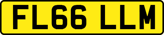 FL66LLM