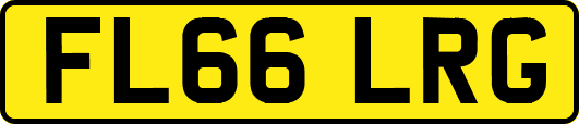 FL66LRG