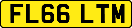 FL66LTM
