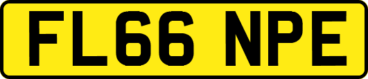 FL66NPE