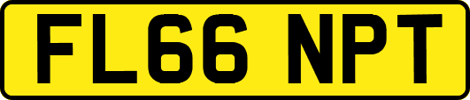 FL66NPT