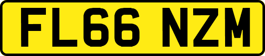 FL66NZM
