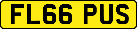 FL66PUS