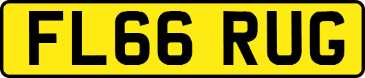 FL66RUG