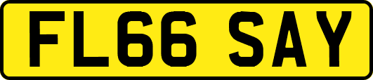 FL66SAY
