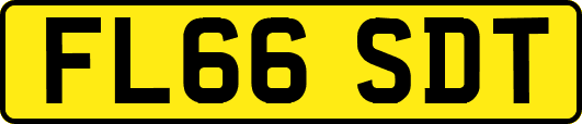 FL66SDT