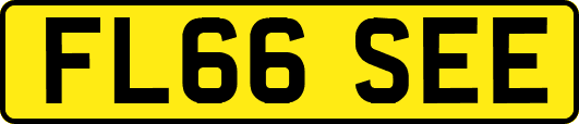 FL66SEE