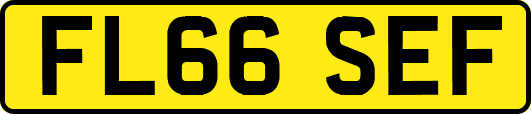 FL66SEF