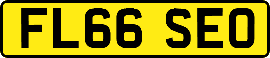FL66SEO