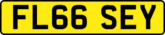 FL66SEY