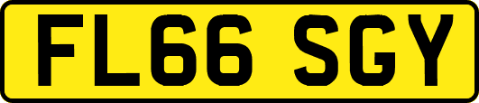 FL66SGY