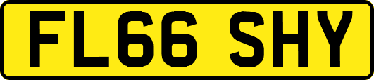 FL66SHY