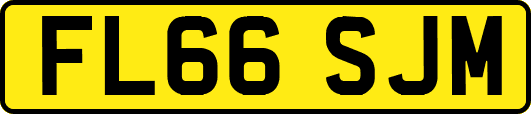 FL66SJM
