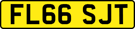 FL66SJT