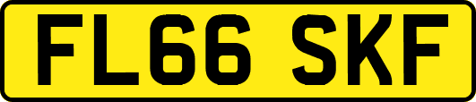 FL66SKF