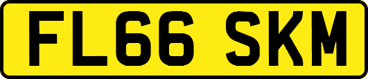 FL66SKM