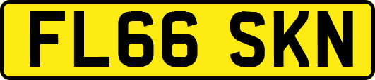 FL66SKN