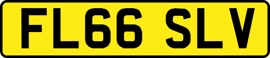 FL66SLV