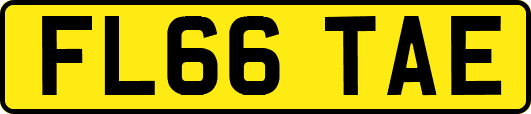 FL66TAE