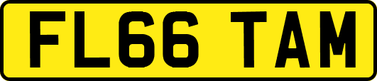 FL66TAM