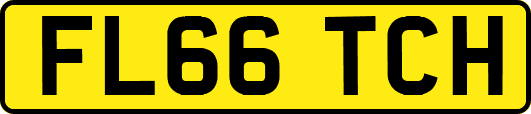 FL66TCH