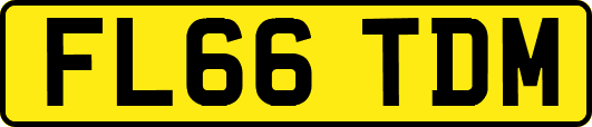 FL66TDM