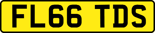 FL66TDS
