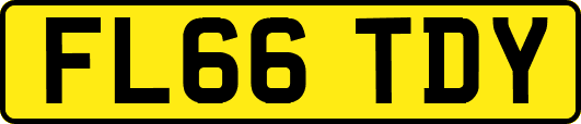 FL66TDY