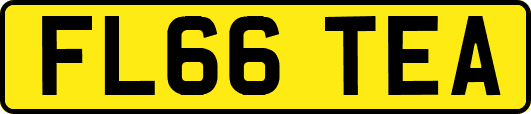 FL66TEA