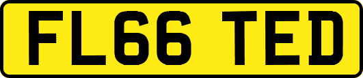 FL66TED