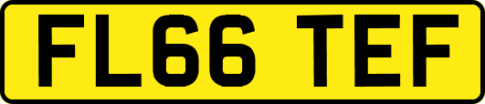 FL66TEF