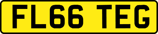 FL66TEG
