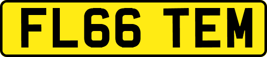 FL66TEM