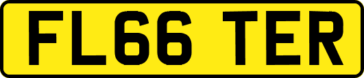 FL66TER