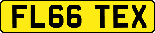 FL66TEX