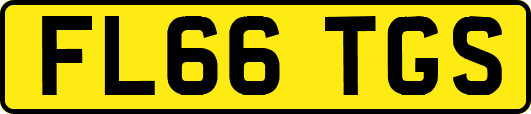 FL66TGS