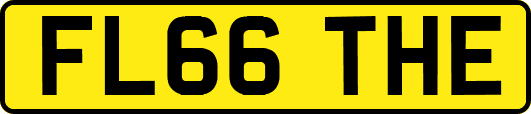 FL66THE