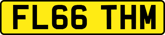 FL66THM