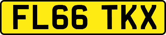 FL66TKX