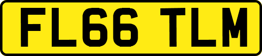 FL66TLM