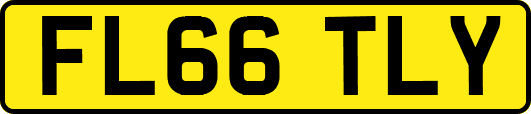 FL66TLY