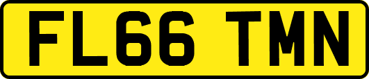 FL66TMN